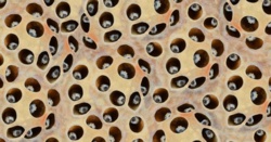 b1f91eee-ec25-4b66-9a15-eb7421bb6ef7