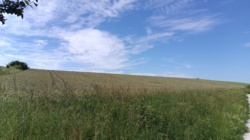 3f189a4f-f565-4dda-a7db-0335f3b5ea28