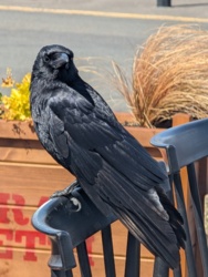 a6fa9370-e231-4f95-93f8-fed04cf1f4c3