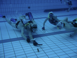 384fe077-6bbc-4070-bae2-cbe26b32ea46