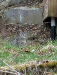 885c7535-7301-4a77-aba2-2987a46fb654