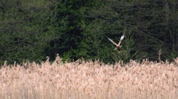 4119db06-2863-4277-992b-7450d421291b