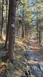 478f6f05-3dd9-4f55-84c6-1c8c34c9ebe1