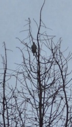 0f55fd43-039d-4c68-8a2d-157a542b3e5c