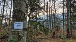 f9254b25-b5b6-4b02-9134-029e3c089774