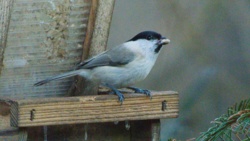 8db2d8c4-3f9c-456e-bad1-e983fdc15458