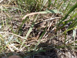 6ebfe71b-d2fd-4ea3-bea0-921dfa5d59f8