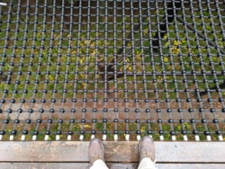 2ef8883f-5203-4079-ae7b-fccd06b39b1e