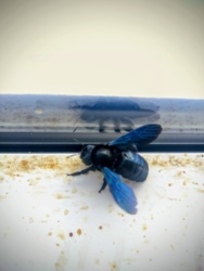 2f7e7cf6-711a-4985-bccf-83e593299b1e