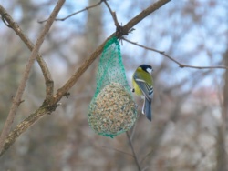 13bb5f51-1b9b-4b28-804d-579992faa50a