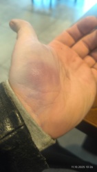 baa67ca1-ea34-4bb7-8be8-79f1b48c85be