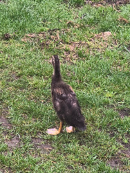 aca865cd-bcad-4680-a748-293e7b255fb0