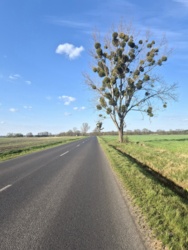 4f26e27c-7b13-4ece-979c-ea5f32104160