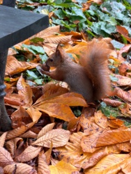 297d923d-890a-4ddd-9972-af5396f350d2