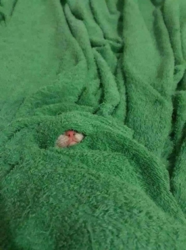 45005d0a-641c-4c61-bdd5-5e2391722328