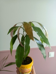 f35996ea-5ded-4d0f-bc56-6f6df55e8e37