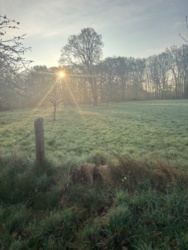 b15514d4-81e9-436d-8565-59ca445ab43f