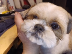 702ffe01-c1e9-472b-8219-91f6125ec6c0