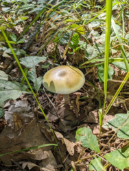 7475db0d-1646-4788-bb1b-5065b77108e3