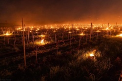 e779ca17-ce45-4c75-b6e7-c8f9288ca947