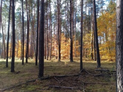 aafbbc49-9fd4-40b2-903a-84f4df19296e