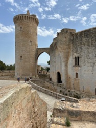 81c46ed4-838c-4dc2-ae6a-984393702526