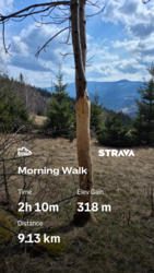 6015de61-5570-4cc9-a381-77d993081357