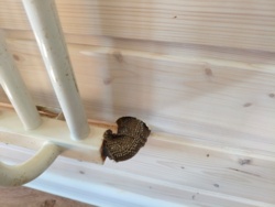 68d928de-f07f-470e-a23c-a52f8e3dc30b