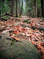 1cc83a59-49c4-4e92-b324-b9f8b96b518e