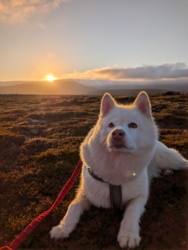 013fef46-f616-4d4d-8f2f-ec8027fd74eb