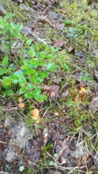 40059d07-02ed-4f26-b653-f4b3d82e1c73