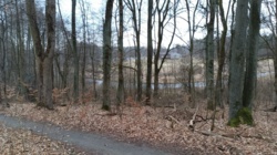 fb6896a3-3625-421c-9caa-98bb7417a72e