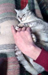 42ef9b5a-5c79-4082-8173-a3c2b35f9adb