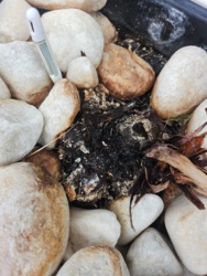 05666caf-0776-4c01-b3a6-20a170eda75b