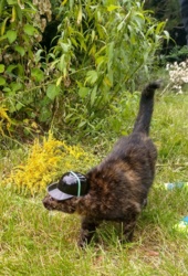 d74d779a-d1cf-45f5-936f-30fe1c26f6ca