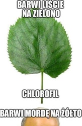 c44fded3-cb9b-4238-990c-e84d24605673