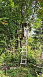 f97c9152-3e48-4507-b5c8-6e33e8447874