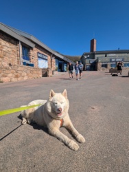 dff684de-697f-496d-8145-2da91a441bf9