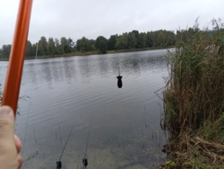 73dd3572-a2a5-45d3-a4ce-71de5c1d76f2