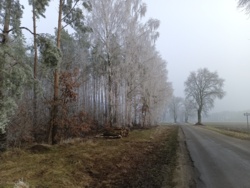 429a2768-ced9-4636-9ca5-11a559b6088f