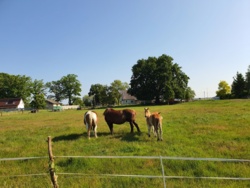 20839ac2-56d5-42c7-9d60-eaa8cb333c60