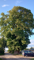 c11fd3be-5c97-45f1-be82-9f36c2341ee5