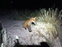 3d5eb27e-9677-467c-a599-9ad8efc898b3