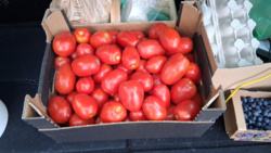 92447e1a-1456-4779-aef7-73783df9f88a