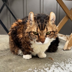 22bbfc67-01b4-49de-b9a7-13a4f7c80bd7