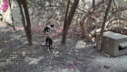 ae2a962a-7c9e-41fd-b7e9-9c5f5caedf3c