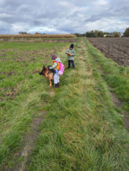 a3d7d43c-a1f3-4fe6-a13f-2f69841129bf