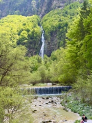 39121eca-8beb-49e5-b27c-dd19bb09c518