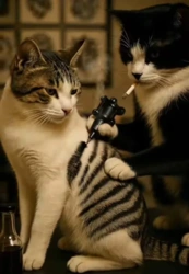 adb08373-5e4f-4269-a209-50bf36ff7f02