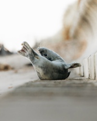 419ba5fe-a43d-4751-a011-1abf4bdb504b